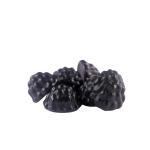 P1000864-removebg-preview